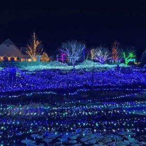 Gardens Aglow. STEVE EDWARDS/Boothbay Register