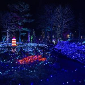 Gardens Aglow. STEVE EDWARDS/Boothbay Register
