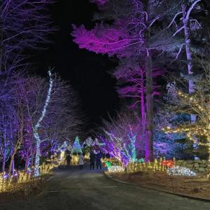 Gardens Aglow. STEVE EDWARDS/Boothbay Register