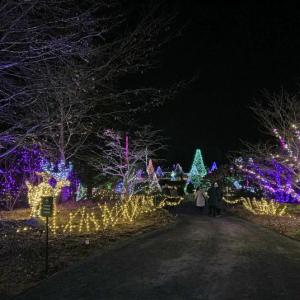 Gardens Aglow. STEVE EDWARDS/Boothbay Register