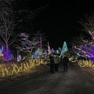Gardens Aglow. STEVE EDWARDS/Boothbay Register
