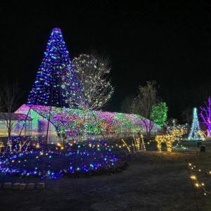 Gardens Aglow. STEVE EDWARDS/Boothbay Register