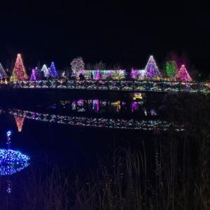 Gardens Aglow. STEVE EDWARDS/Boothbay Register