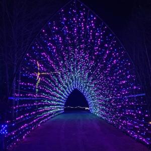 Gardens Aglow. STEVE EDWARDS/Boothbay Register