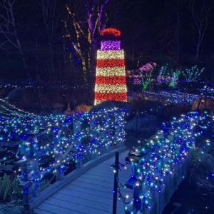 Gardens Aglow. STEVE EDWARDS/Boothbay Register