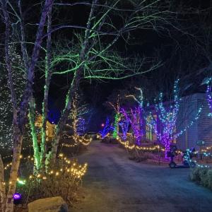 Gardens Aglow. STEVE EDWARDS/Boothbay Register