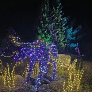 Gardens Aglow. STEVE EDWARDS/Boothbay Register
