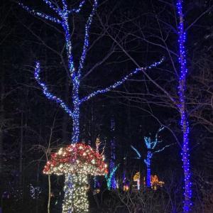 Gardens Aglow. STEVE EDWARDS/Boothbay Register