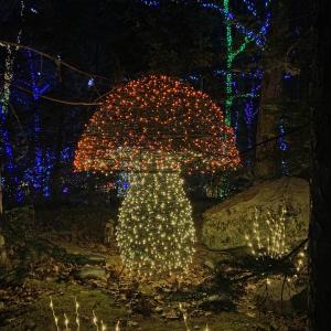 Gardens Aglow. STEVE EDWARDS/Boothbay Register