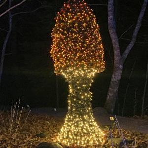 Gardens Aglow. STEVE EDWARDS/Boothbay Register