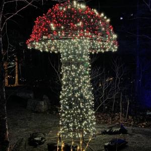 Gardens Aglow. STEVE EDWARDS/Boothbay Register
