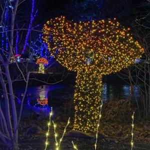 Gardens Aglow. STEVE EDWARDS/Boothbay Register