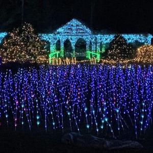 Gardens Aglow. STEVE EDWARDS/Boothbay Register Gardens Aglow. STEVE EDWARDS/Boothbay Register