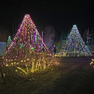 Gardens Aglow. STEVE EDWARDS/Boothbay Register
