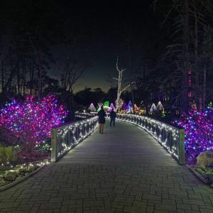 Gardens Aglow. STEVE EDWARDS/Boothbay Register