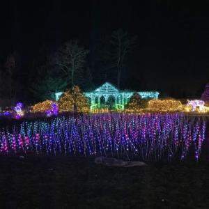 Gardens Aglow. STEVE EDWARDS/Boothbay Register