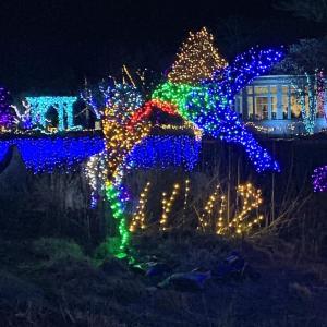 Gardens Aglow. STEVE EDWARDS/Boothbay Register