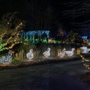 Gardens Aglow. STEVE EDWARDS/Boothbay Register