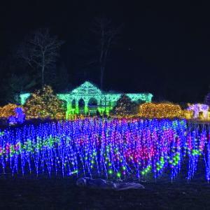 Gardens Aglow. STEVE EDWARDS/Boothbay Register