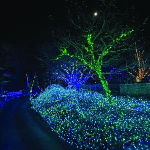 Gardens Aglow. STEVE EDWARDS/Boothbay Register