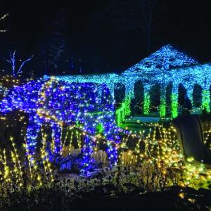 Gardens Aglow. STEVE EDWARDS/Boothbay Register
