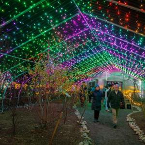 Gardens Aglow. Mike Leonard photo