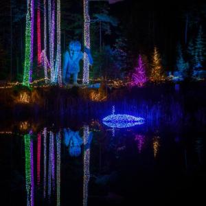 Gardens Aglow. Mike Leonard photo