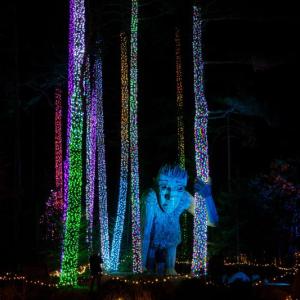 Gardens Aglow. Mike Leonard photo