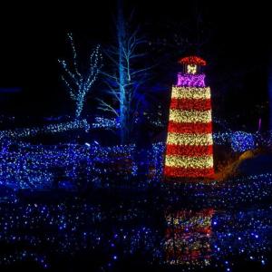 Gardens Aglow. Mike Leonard photo