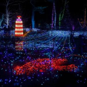 Gardens Aglow. Mike Leonard photo