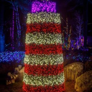 Gardens Aglow. Mike Leonard photo