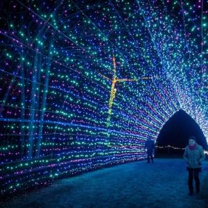 Gardens Aglow. Mike Leonard photo