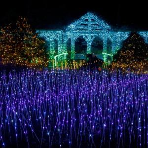 Gardens Aglow. Mike Leonard photo