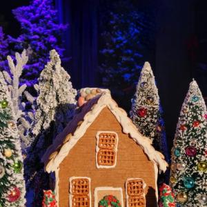 Gingerbread class is Nov. 20. 3:45 p.m. Registration required. Courtesy of the Opera House 