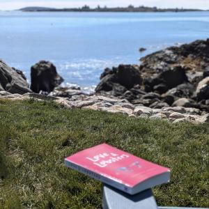Love & Lobsters on the rocks. Courtesy of the venue
