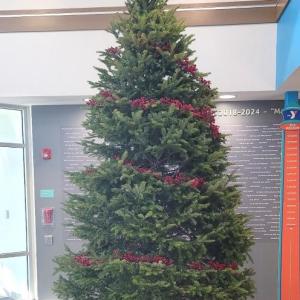 Tree of Giving