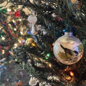 LISA KRISTOFF/Boothbay Register