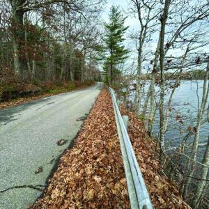 Adams Pond Road. 