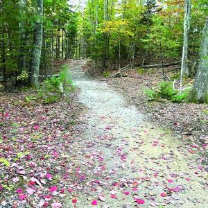 The Boothbay region school trail project made significant strides this year. Courtesy Larry Brown