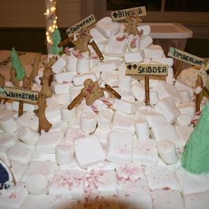 Best Youth Entry: "Sugarloaf" by Polly Nadeau-Miller.  LISA KRISTOFF/Boothbay Register