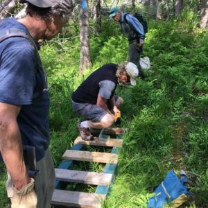Bridge building at Burkett Mills Preserve in Waldoboro. Courtesy of Midcoast Conservancy