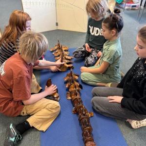 Students observe a pilot whale skeleton. Courtesy of CTL