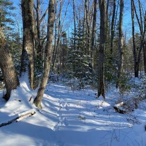 Enjoy a wintry naturalist-led hike at the Hilton O’Connor Preserve in Bremen. Courtesy of Coastal Rivers