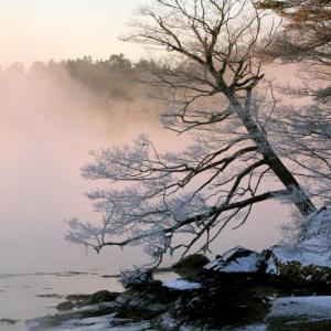 STEVE EDWARDS/Boothbay Register