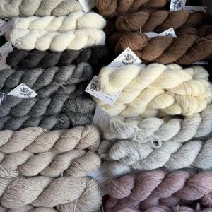 Maine Raised Yarn