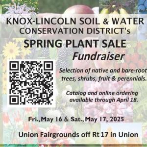 Sale flyer