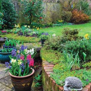 Gardening can be less labor-intensive and even more successful when people consider the many benefits of container gardening.