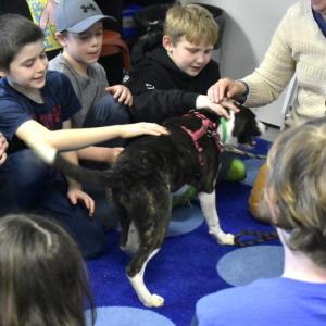 Archie the Puppy from Midcoast Humane Animal Shelter steals the show with BRES 3rd graders. ISABELLE CURTIS/Boothbay Register