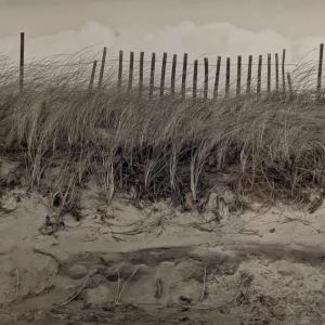 Bill Shumaker's "Hurricane Fence."
