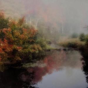 Sandra Wescott's "Peaceful."